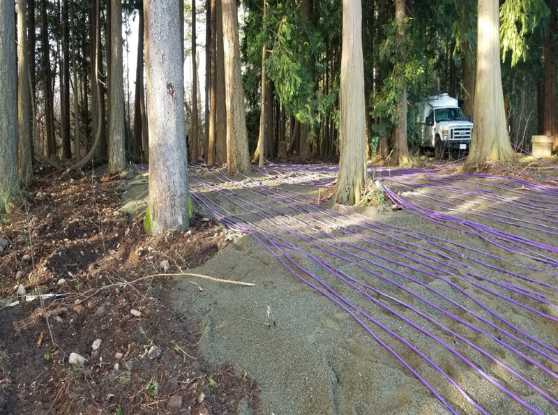 Drip Line Installation