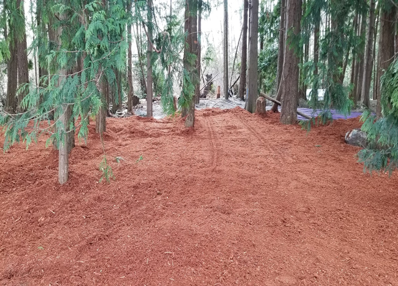 Bark Mulch Installation