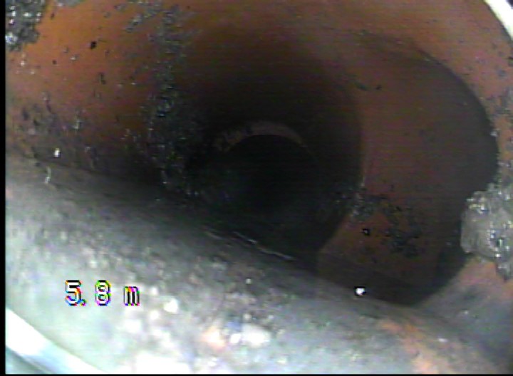Septic Inspection Septic Inspection