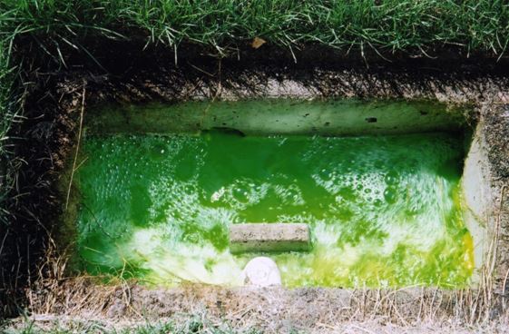 Eroded distribution box eroded distribution box septic repair