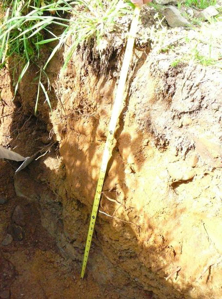 Soil assessment soil assessment subdivision assessment